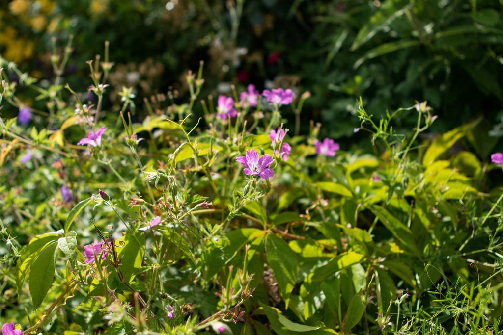 Mareham House Bed & Breakfast Sleaford Buitenkant foto