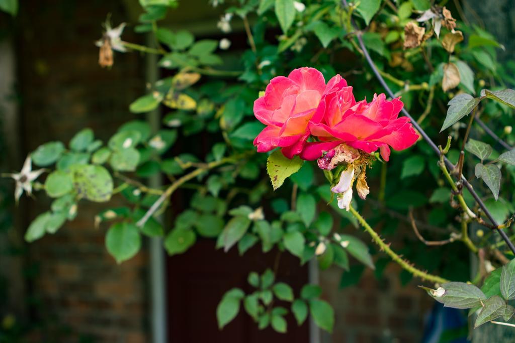 Mareham House Bed & Breakfast Sleaford Buitenkant foto