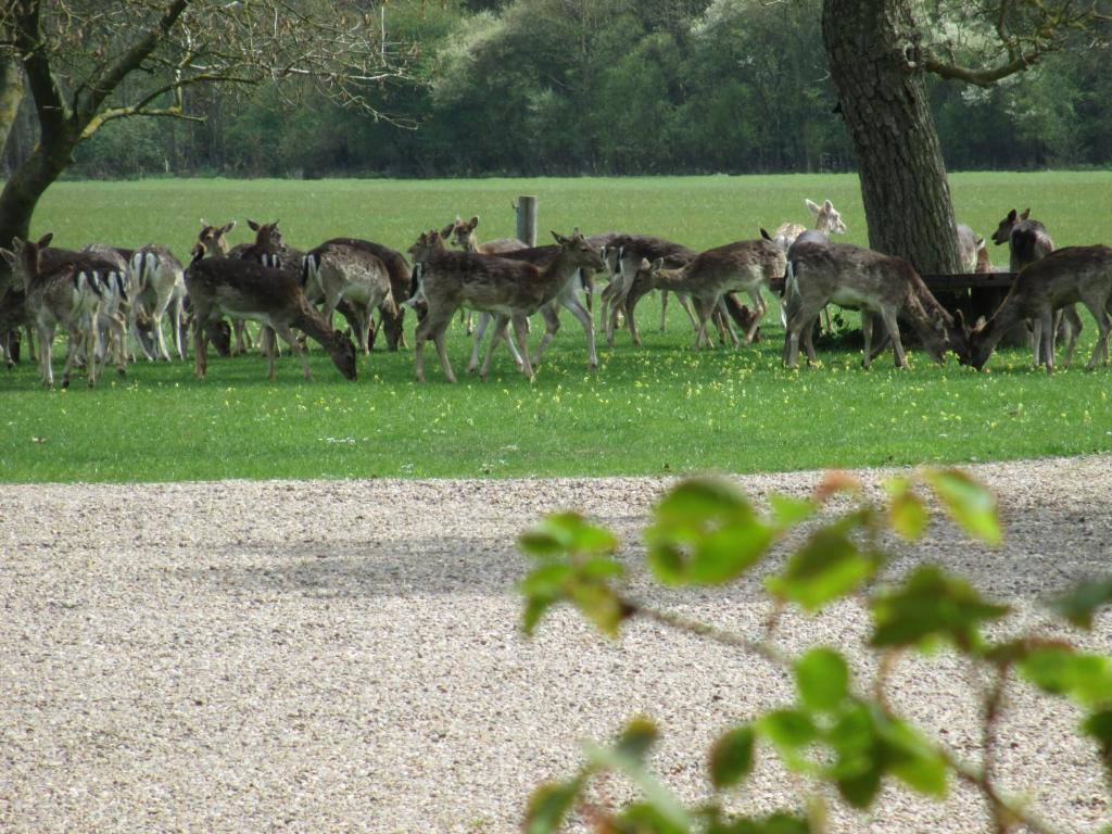 Mareham House Bed & Breakfast Sleaford Buitenkant foto